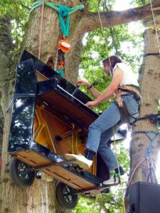 Piano installé dans un arbre à Oudon pour Le Piano du Lac